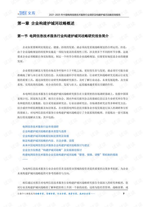 2021-2025年中國(guó)電網(wǎng)信息技術(shù)服務(wù)行業(yè)調(diào)研及構(gòu)建護(hù)城河戰(zhàn)略咨詢報(bào)告